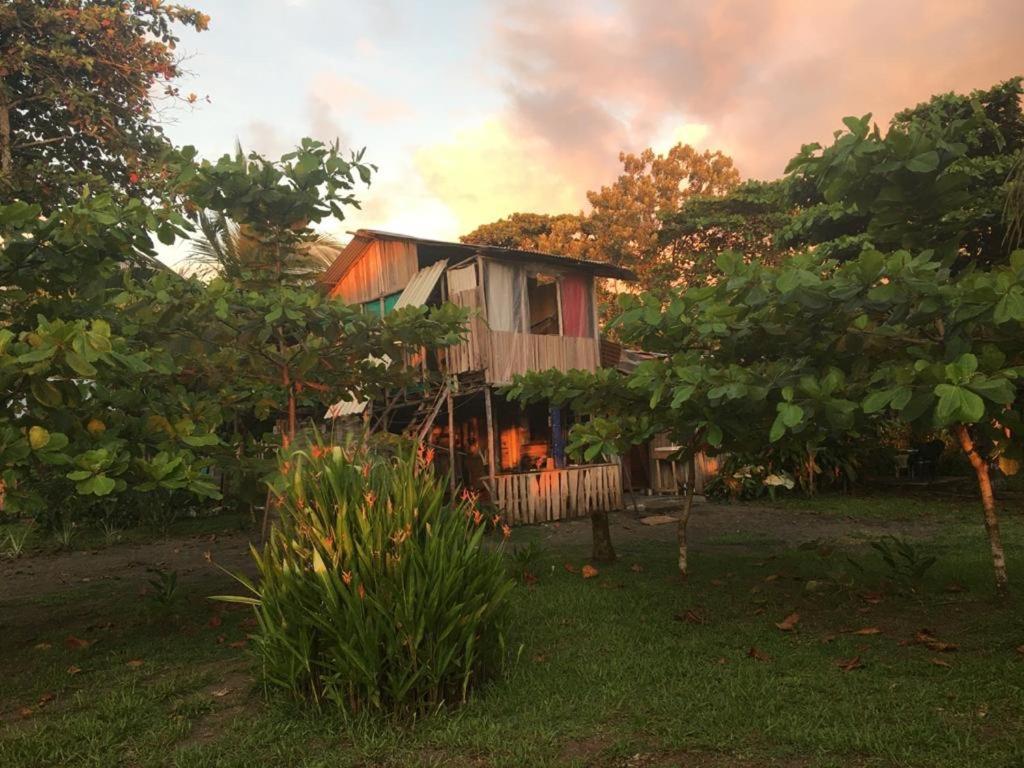 Miguel Surf Camp Hotell Quepos Exteriör bild