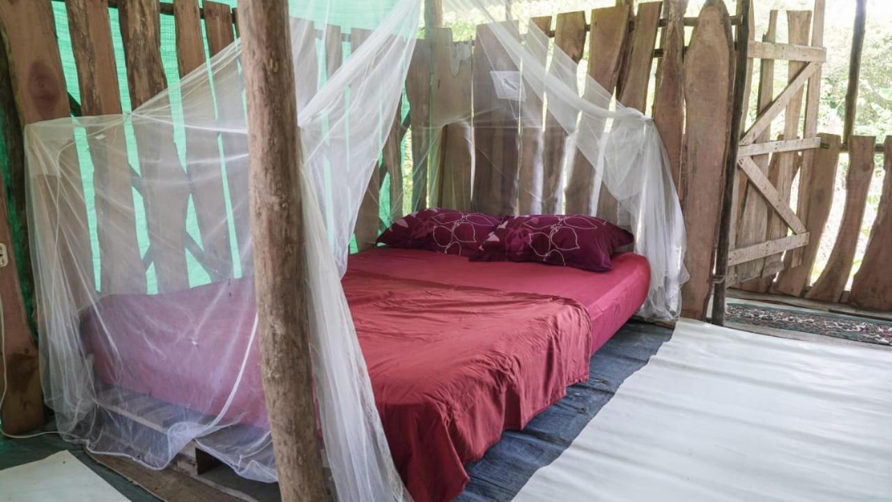Miguel Surf Camp Hotell Quepos Exteriör bild