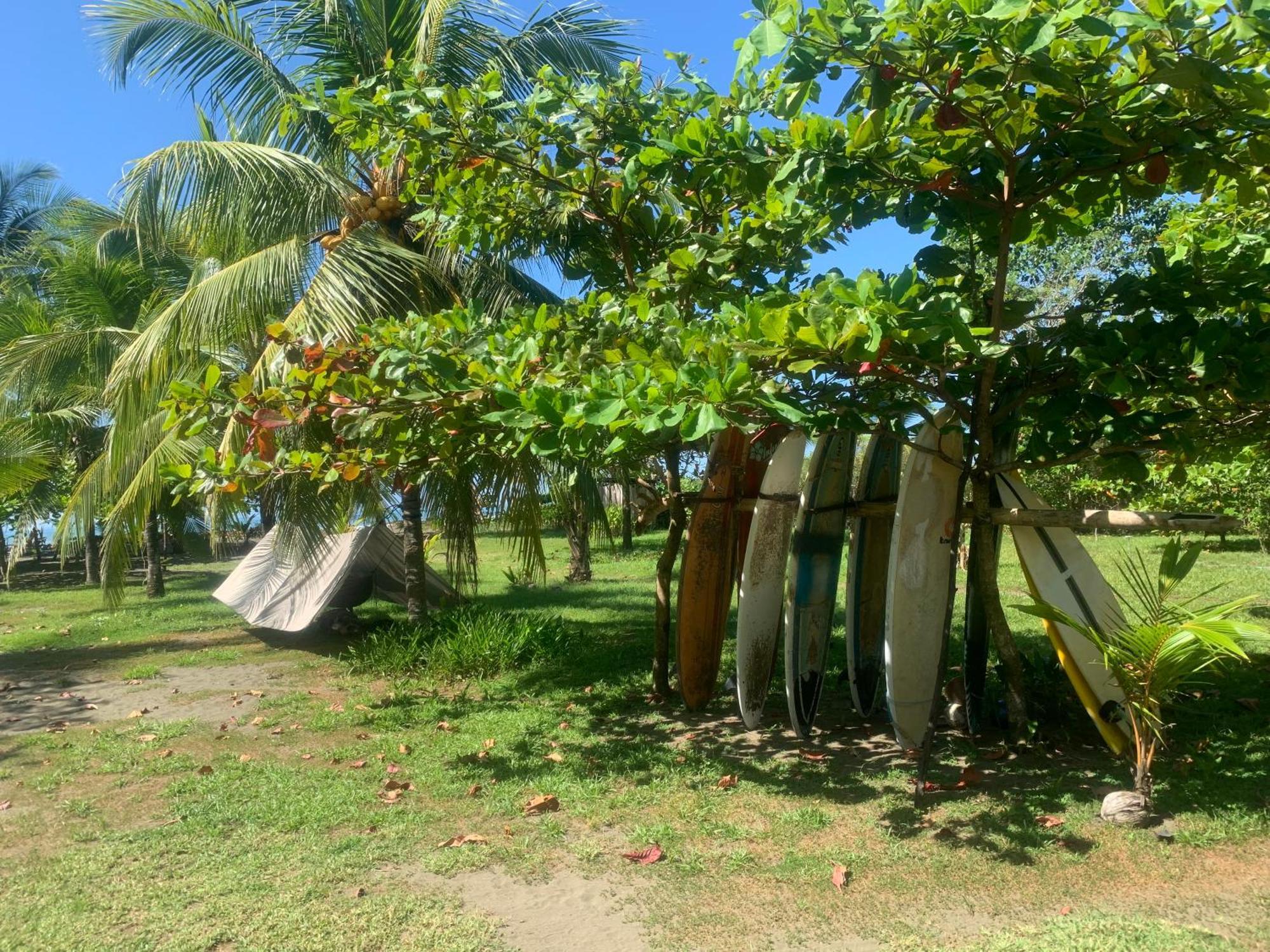 Miguel Surf Camp Hotell Quepos Exteriör bild